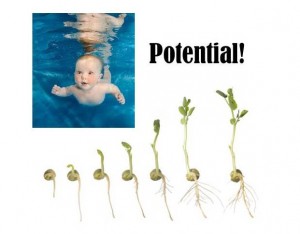 Potential